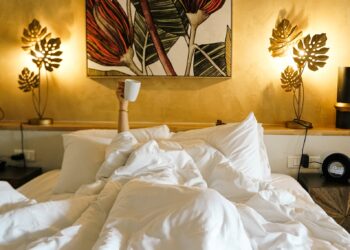 Hotel l'estelle en camargue