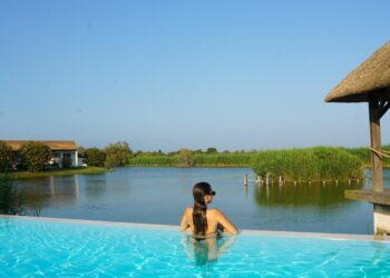 Nos offres promotionnelles à l'estelle en camargue